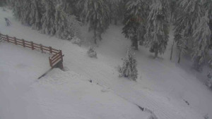 Sporthotel Kurzovní - Přístup na běžeckou trať - 4.2.2026 v 11:55