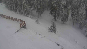 Sporthotel Kurzovní - Přístup na běžeckou trať - 4.2.2026 v 12:40