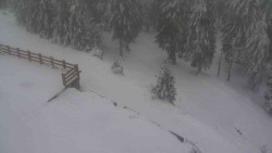 Přístup na běžeckou trať