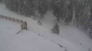 Sporthotel Kurzovní - Přístup na běžeckou trať - 4.2.2026 v 14:25