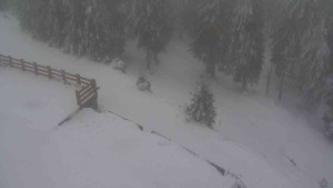 Sporthotel Kurzovní - Přístup na běžeckou trať - 4.2.2026 v 15:15