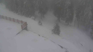 Sporthotel Kurzovní - Přístup na běžeckou trať - 4.2.2026 v 15:55