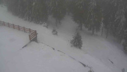 Přístup na běžeckou trať