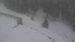 Přístup na běžeckou trať