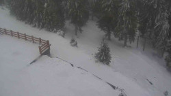 Přístup na běžeckou trať