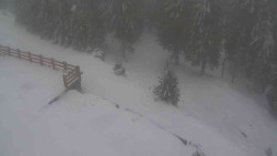 Přístup na běžeckou trať