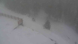 Přístup na běžeckou trať