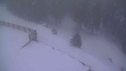 Přístup na běžeckou trať