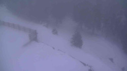 Přístup na běžeckou trať