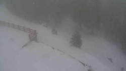 Přístup na běžeckou trať