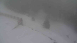 Přístup na běžeckou trať