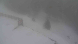 Přístup na běžeckou trať