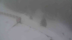 Přístup na běžeckou trať