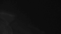 Přístup na běžeckou trať