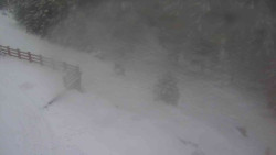 Přístup na běžeckou trať