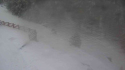 Přístup na běžeckou trať