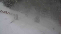 Přístup na běžeckou trať