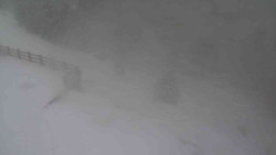 Přístup na běžeckou trať