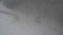 Přístup na běžeckou trať