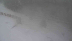 Přístup na běžeckou trať