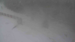 Přístup na běžeckou trať