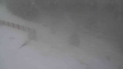 Přístup na běžeckou trať