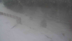 Přístup na běžeckou trať