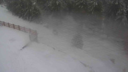 Přístup na běžeckou trať