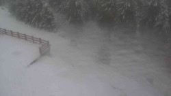 Přístup na běžeckou trať