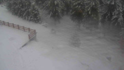 Přístup na běžeckou trať