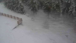 Přístup na běžeckou trať