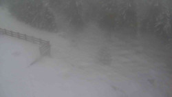 Přístup na běžeckou trať