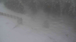 Přístup na běžeckou trať