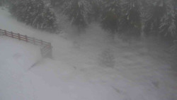 Přístup na běžeckou trať