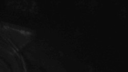 Přístup na běžeckou trať