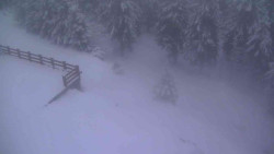 Přístup na běžeckou trať