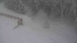 Přístup na běžeckou trať