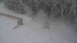 Přístup na běžeckou trať