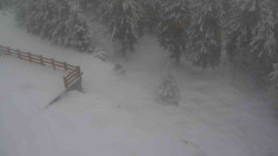 Přístup na běžeckou trať