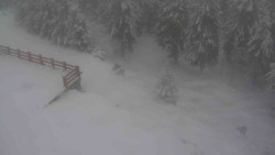 Přístup na běžeckou trať