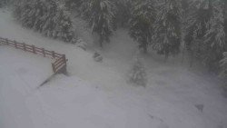 Přístup na běžeckou trať