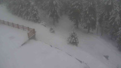 Přístup na běžeckou trať