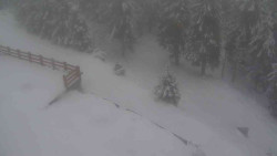 Přístup na běžeckou trať