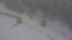 Přístup na běžeckou trať