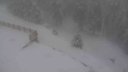 Přístup na běžeckou trať