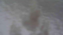 Přístup na běžeckou trať