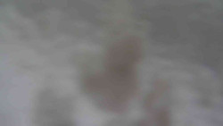 Přístup na běžeckou trať