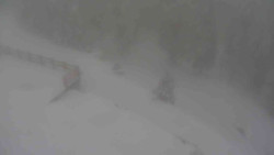 Přístup na běžeckou trať