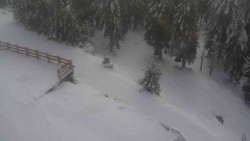 Přístup na běžeckou trať