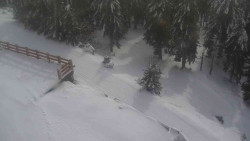 Přístup na běžeckou trať